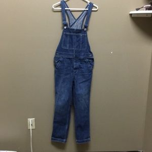 Free people denim overall